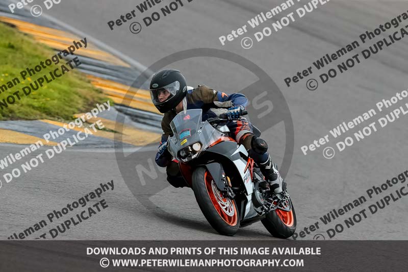 PJ Motorsport 2019;anglesey no limits trackday;anglesey photographs;anglesey trackday photographs;enduro digital images;event digital images;eventdigitalimages;no limits trackdays;peter wileman photography;racing digital images;trac mon;trackday digital images;trackday photos;ty croes